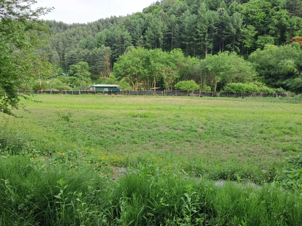 홍천군 북방면 북방리 전원 토지 매물