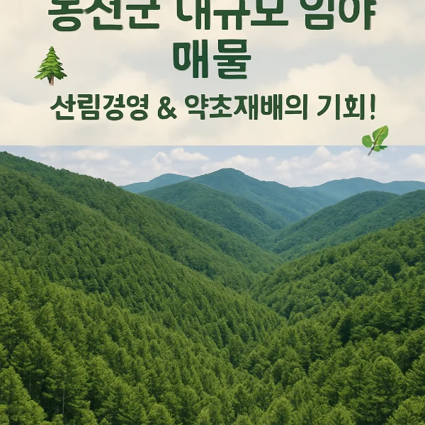 홍천군 대규모 임야 매물 - 산림경영 & 약초재배의 기회!에 대한 img
