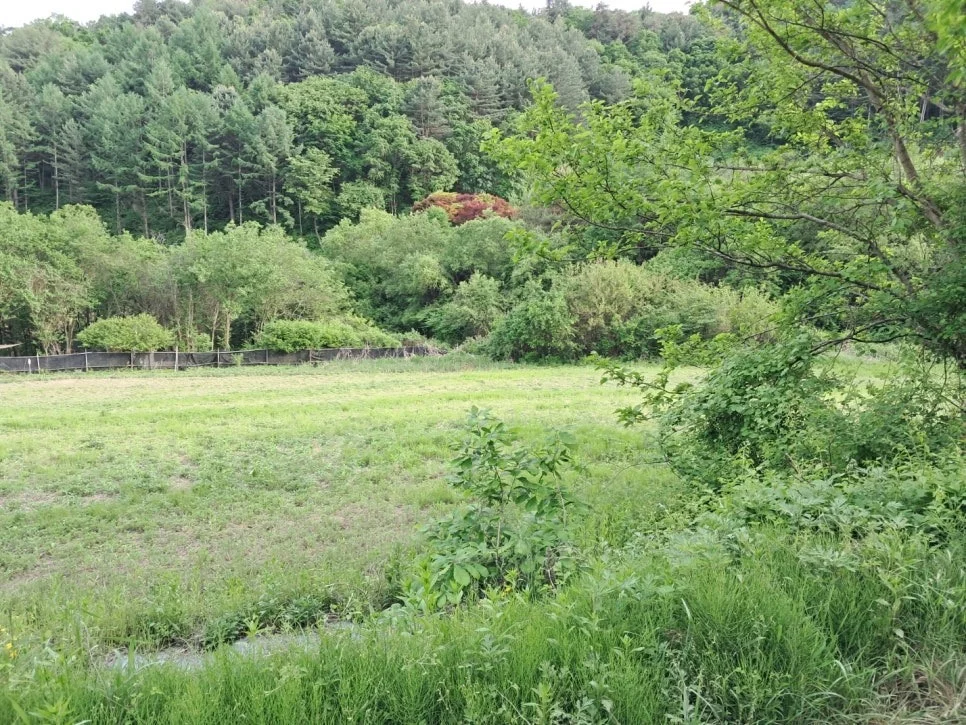 홍천군 북방면 북방리 전원 토지 매물에 대한 img