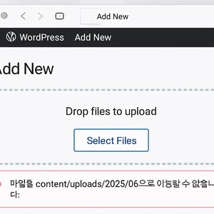 wordpress docker 컨테이너에서 이미지 파일을 이동할 수 없습니다. 파일권한 문제